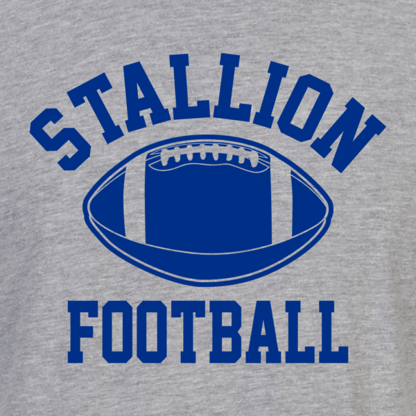 Stallion Football - Image 2