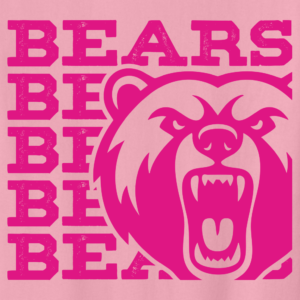 Bears Pink Out